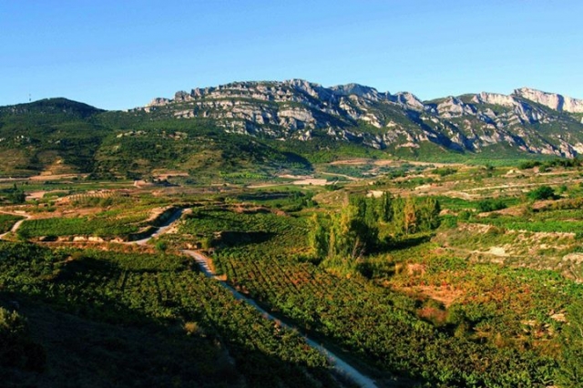  surrounding landscape